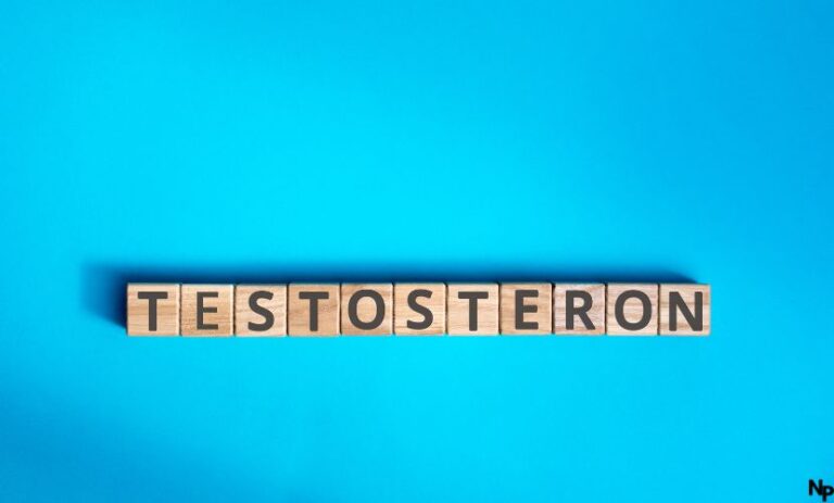 Alkohol Testosteron: So beeinflusst Alkohol wirklich deinen Hormonhaushalt