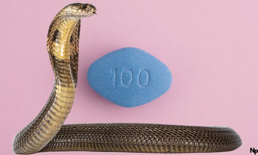 cobra viagra