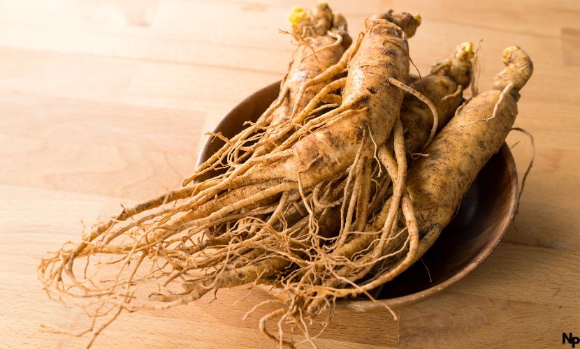 ginseng wirkung potenz