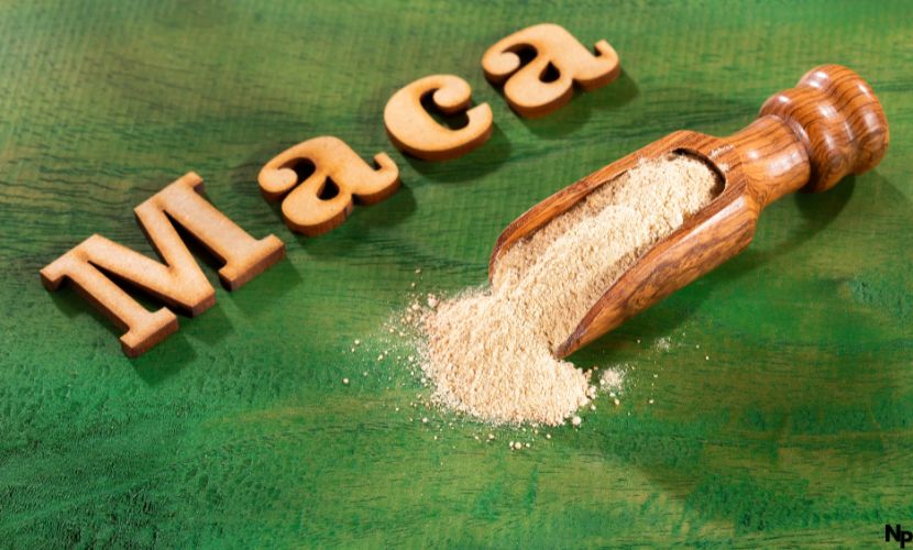 maca wirkung
