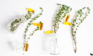 Effektive Homöopathie zur Steigerung der sexuellen Lust bei Frauen
