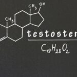Testosteron steigern potenz