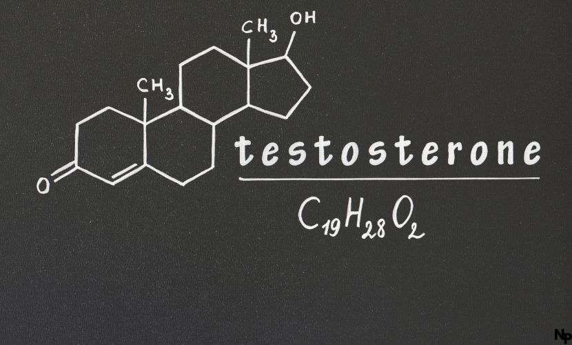 testosteron steigern potenz